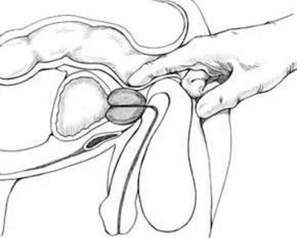 Prostate massage for prostate